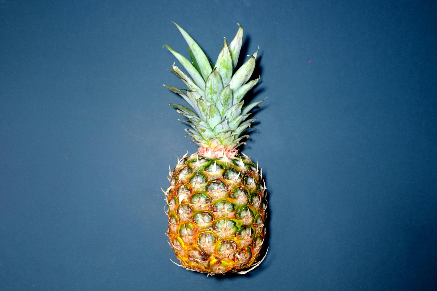 ananas